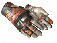 ★ Moto Gloves POW!